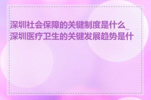 深圳社会保障的关键制度是什么_深圳医疗卫生的关键发展趋势是什么