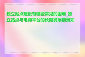 独立站点建设有哪些常见的困难_独立站点与电商平台的长期发展前景如何