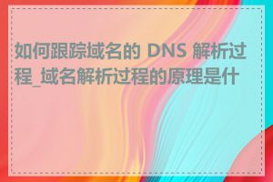 如何跟踪域名的 DNS 解析过程_域名解析过程的原理是什么