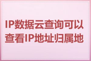 IP数据云查询可以查看IP地址归属地吗