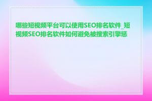 哪些短视频平台可以使用SEO排名软件_短视频SEO排名软件如何避免被搜索引擎惩罚