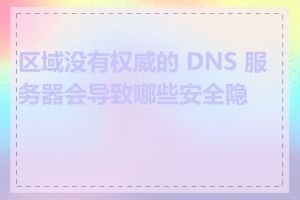 区域没有权威的 DNS 服务器会导致哪些安全隐患