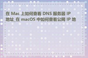 在 Mac 上如何查看 DNS 服务器 IP 地址_在 macOS 中如何查看公网 IP 地址