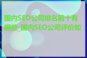 国内SEO公司排名前十有哪些_国内SEO公司评价如何