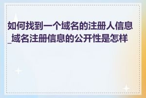 如何找到一个域名的注册人信息_域名注册信息的公开性是怎样的