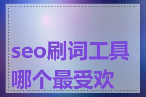 seo刷词工具哪个最受欢迎