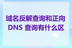 域名反解查询和正向 DNS 查询有什么区别