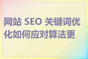 网站 SEO 关键词优化如何应对算法更新