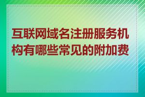 互联网域名注册服务机构有哪些常见的附加费用