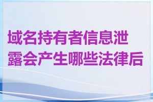 域名持有者信息泄露会产生哪些法律后果