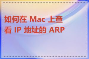 如何在 Mac 上查看 IP 地址的 ARP 表