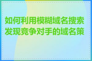 如何利用模糊域名搜索发现竞争对手的域名策略