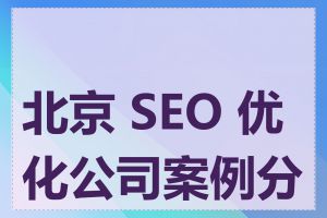 北京 SEO 优化公司案例分析