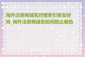 海外注册商域名对搜索引擎友好吗_海外注册商域名如何防止被抢注