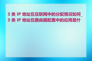 3 类 IP 地址在互联网中的分配情况如何_3 类 IP 地址在路由器配置中的应用是什么