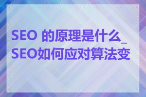 SEO 的原理是什么_SEO如何应对算法变化