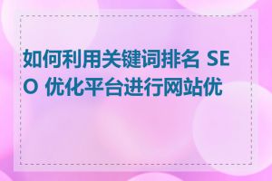 如何利用关键词排名 SEO 优化平台进行网站优化