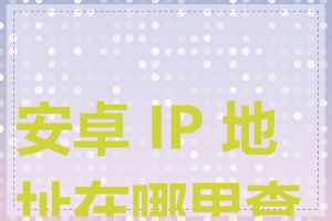 安卓 IP 地址在哪里查看