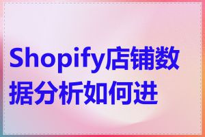 Shopify店铺数据分析如何进行