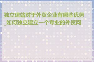 独立建站对于外贸企业有哪些优势_如何独立建立一个专业的外贸网站