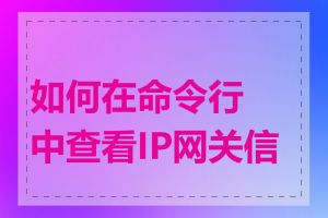 如何在命令行中查看IP网关信息