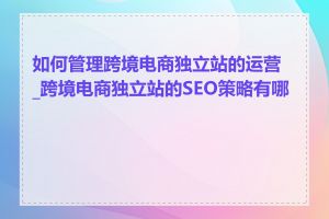 如何管理跨境电商独立站的运营_跨境电商独立站的SEO策略有哪些