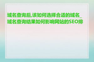 域名查询后,该如何选择合适的域名_域名查询结果如何影响网站的SEO排名