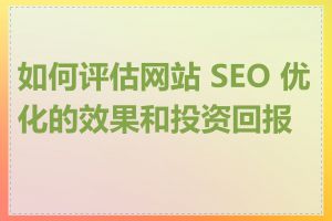 如何评估网站 SEO 优化的效果和投资回报率