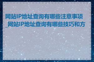 网站IP地址查询有哪些注意事项_网站IP地址查询有哪些技巧和方法