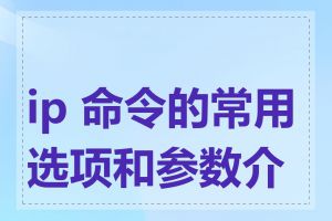 ip 命令的常用选项和参数介绍