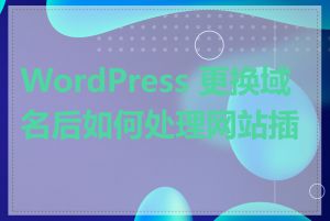 WordPress 更换域名后如何处理网站插件