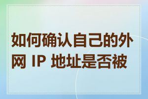 如何确认自己的外网 IP 地址是否被封