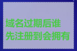 域名过期后谁先注册到会拥有它