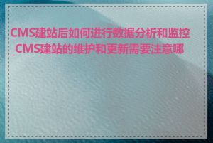 CMS建站后如何进行数据分析和监控_CMS建站的维护和更新需要注意哪些