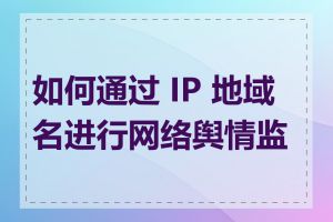 如何通过 IP 地域名进行网络舆情监测