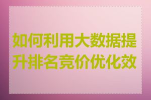 如何利用大数据提升排名竞价优化效果