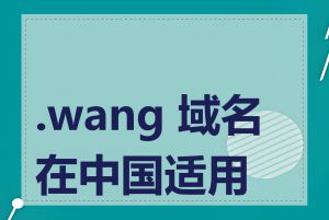 .wang 域名在中国适用吗