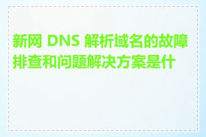 新网 DNS 解析域名的故障排查和问题解决方案是什么