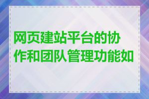 网页建站平台的协作和团队管理功能如何