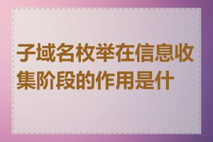 子域名枚举在信息收集阶段的作用是什么