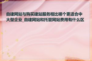 自建网站与购买建站服务相比哪个更适合中大型企业_自建网站和托管网站费用有什么区别