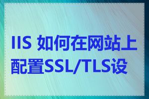 IIS 如何在网站上配置SSL/TLS设置