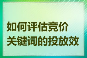 如何评估竞价关键词的投放效果