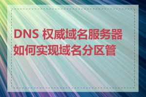 DNS 权威域名服务器如何实现域名分区管理