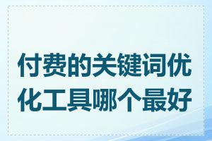 付费的关键词优化工具哪个最好用