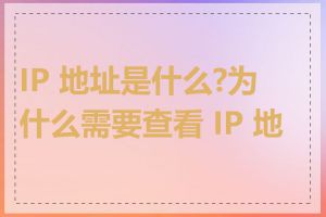 IP 地址是什么?为什么需要查看 IP 地址