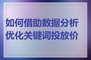 如何借助数据分析优化关键词投放价格