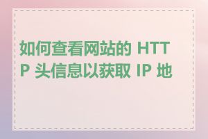 如何查看网站的 HTTP 头信息以获取 IP 地址