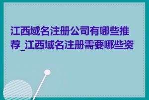 江西域名注册公司有哪些推荐_江西域名注册需要哪些资料