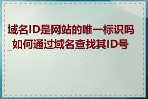 域名ID是网站的唯一标识吗_如何通过域名查找其ID号码